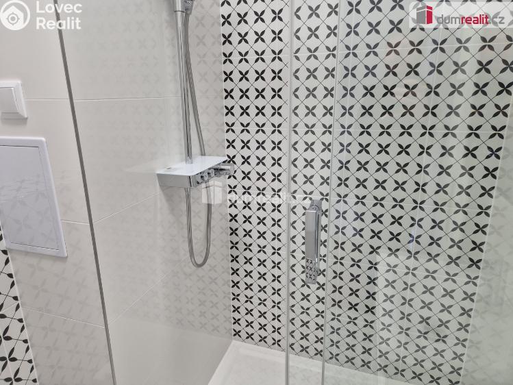 Оренда квартири 1+KK České Budějovice, Fr. Ondříčka č. 15