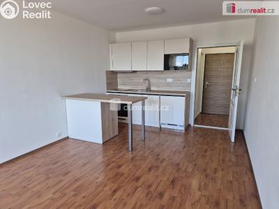 Rent apartment 1+KK České Budějovice, Fr. Ondříčka č. 1
