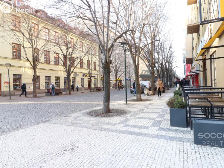 Pronájem bytu 2+KK Praha, Thámova č. 3