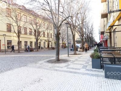 Pronájem bytu 2+KK Praha, Thámova č. 3