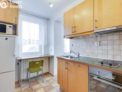 Rent apartment 1+1 Brandýs nad Labem-Stará Boleslav, Brázdimská č. 1