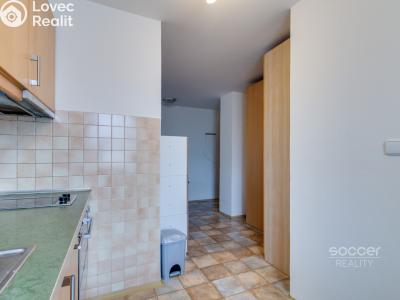 Rent apartment 1+1 Brandýs nad Labem-Stará Boleslav, Brázdimská č. 2