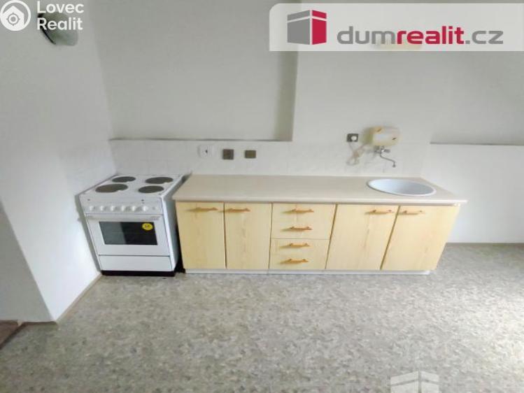 Pronájem bytu 1+1 Děčín, Kamenická č. 1