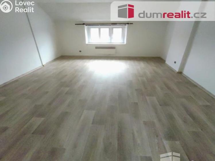 Pronájem bytu 1+1 Děčín, Kamenická č. 3