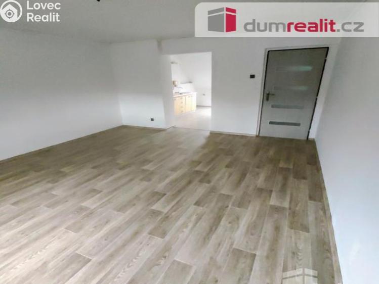 Pronájem bytu 1+1 Děčín, Kamenická č. 4