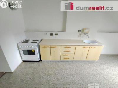 Pronájem bytu 1+1 Děčín, Kamenická č. 1