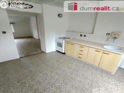 Pronájem bytu 1+1 Děčín, Kamenická č. 2