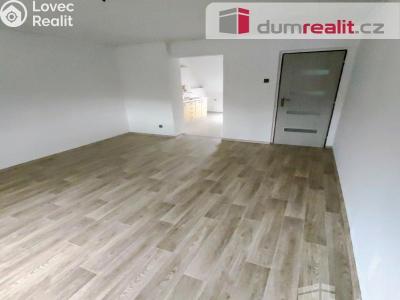 Pronájem bytu 1+1 Děčín, Kamenická č. 4