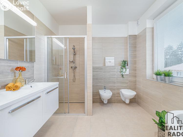 Аренда семейного дома Moravičany č. 14