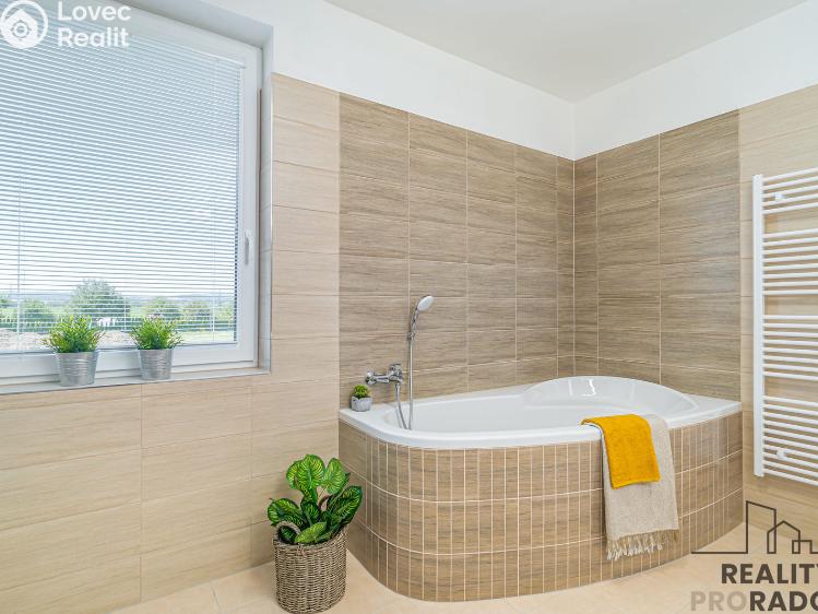 Аренда семейного дома Moravičany č. 15