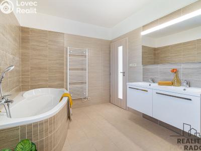 Аренда семейного дома Moravičany č. 4