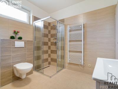 Аренда семейного дома Moravičany č. 6