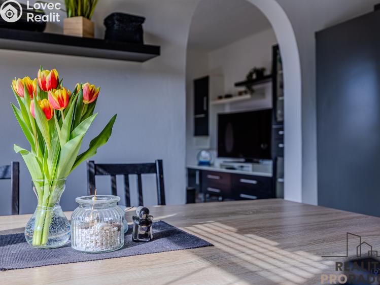 Продаж сімейного будинку Staříč, Fryčovická č. 8