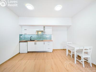 Pronájem bytu 1+KK Příbram, Špitálská č. 4