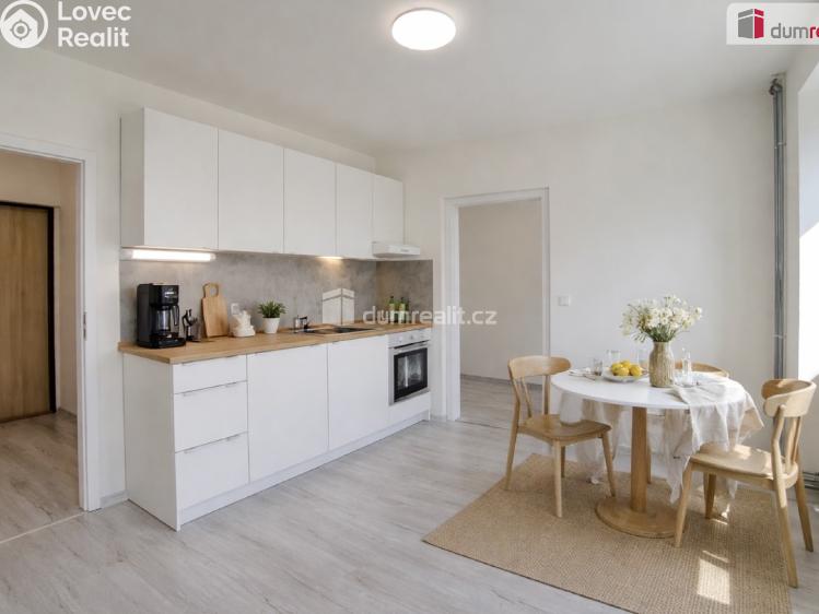 Pronájem bytu 1+1 Ústí nad Labem, Purkyňova č. 1