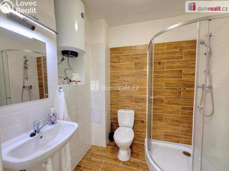 Pronájem bytu 1+1 Ústí nad Labem, Purkyňova č. 4