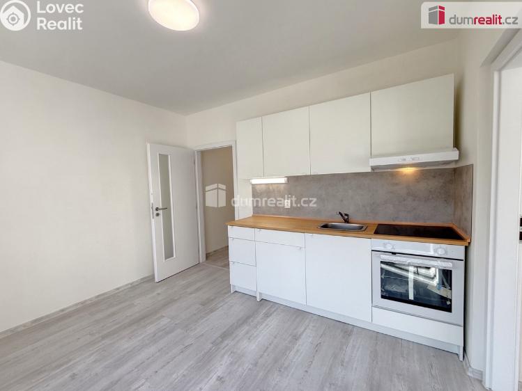 Pronájem bytu 1+1 Ústí nad Labem, Purkyňova č. 6