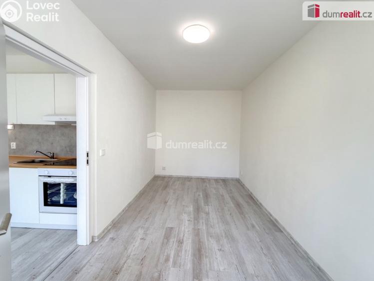 Pronájem bytu 1+1 Ústí nad Labem, Purkyňova č. 7