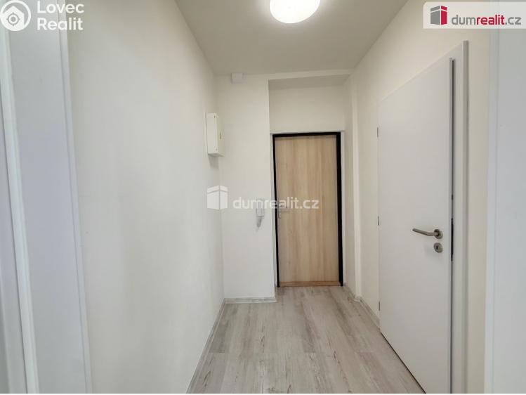 Pronájem bytu 1+1 Ústí nad Labem, Purkyňova č. 8