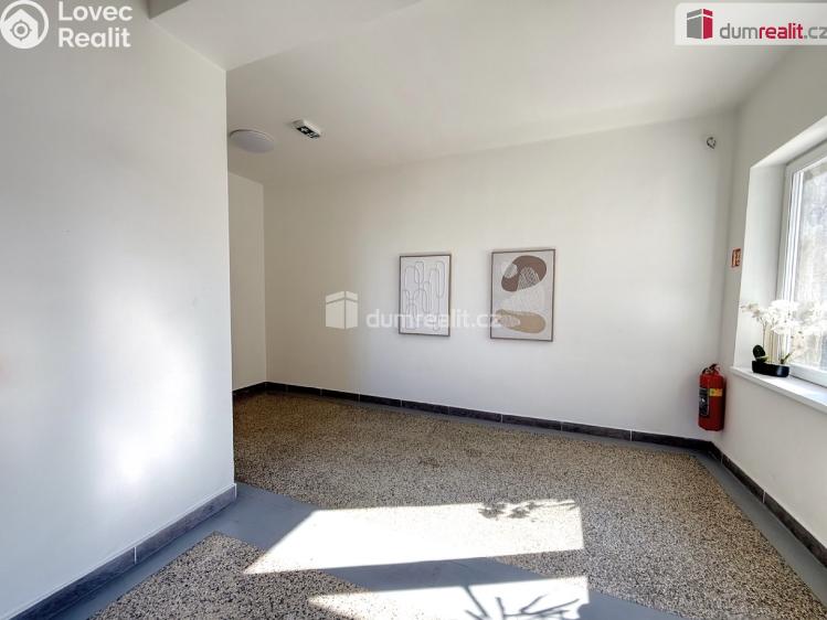 Pronájem bytu 1+1 Ústí nad Labem, Purkyňova č. 9