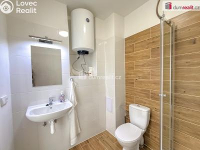 Pronájem bytu 1+1 Ústí nad Labem, Purkyňova č. 3