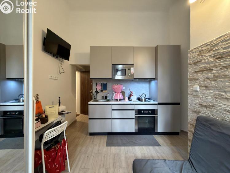 Pronájem bytu 2+KK Praha, Krakovská 1345/17 č. 6