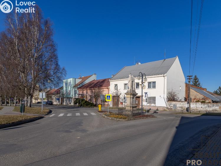 Продажа семейного дома Dřevohostice, Náměstí č. 1