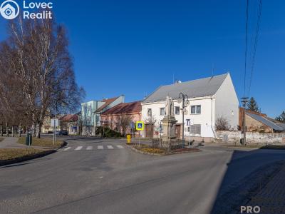 Продаж сімейного будинку Dřevohostice, Náměstí č. 1