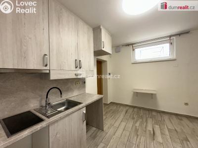 Pronájem bytu 1+1 Mikulov, Zámecká č. 1