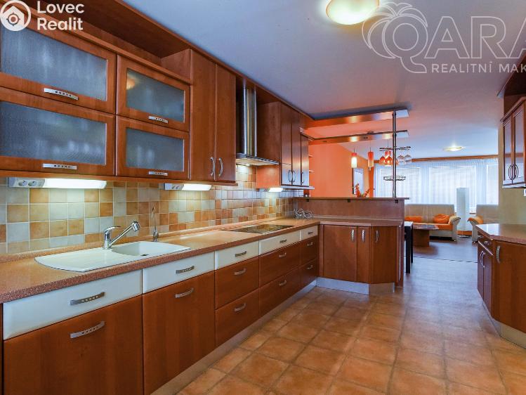 Аренда семейного дома Vyškov č. 1