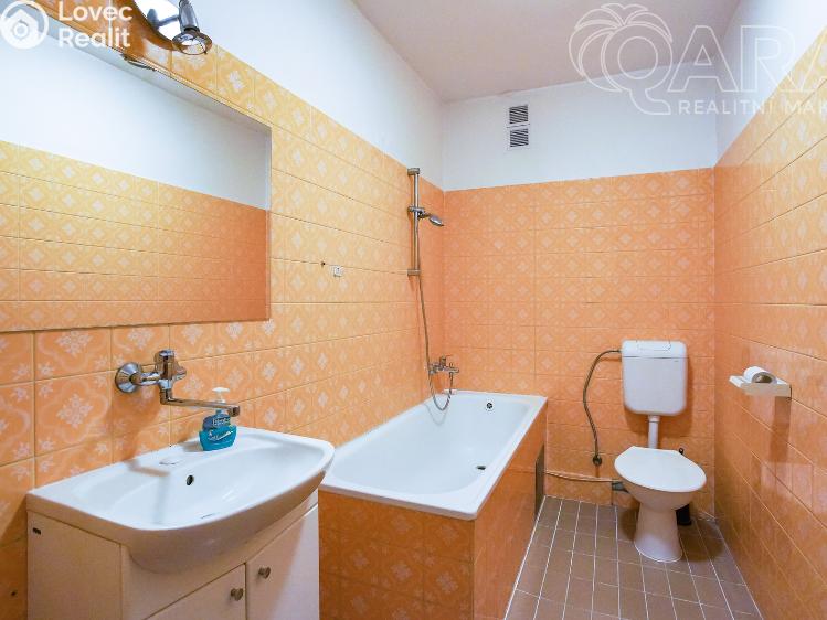 Аренда семейного дома Vyškov č. 13