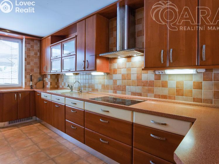 Аренда семейного дома Vyškov č. 19