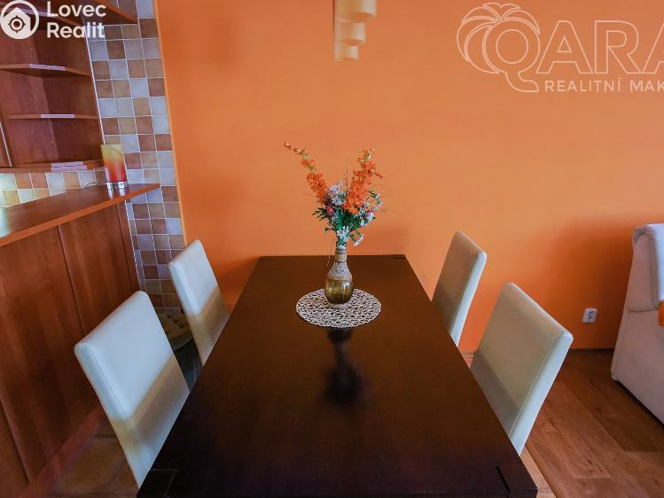 Аренда семейного дома Vyškov č. 22