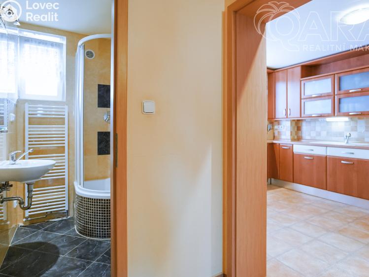 Аренда семейного дома Vyškov č. 24