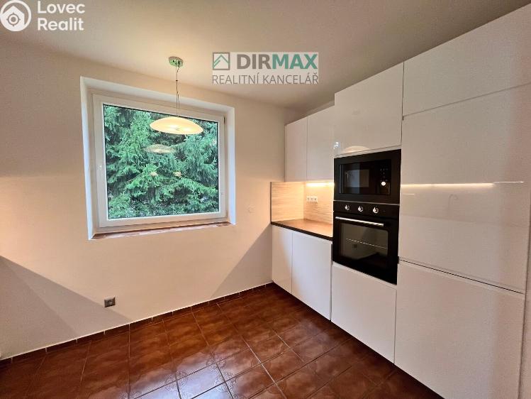 Аренда семейного дома Lužany č. 7