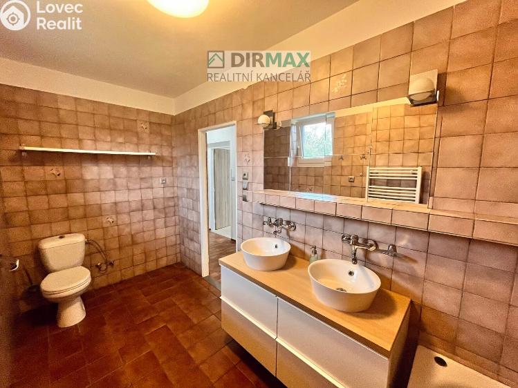 Аренда семейного дома Lužany č. 11