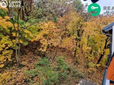 Pronájem bytu 2+KK Praha, Pod Stárkou č. 1