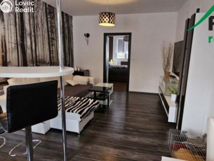 Pronájem bytu 2+1 Tachov, Stadtrodská č. 2