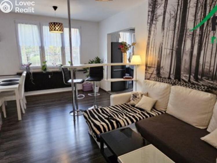 Pronájem bytu 2+1 Tachov, Stadtrodská č. 4