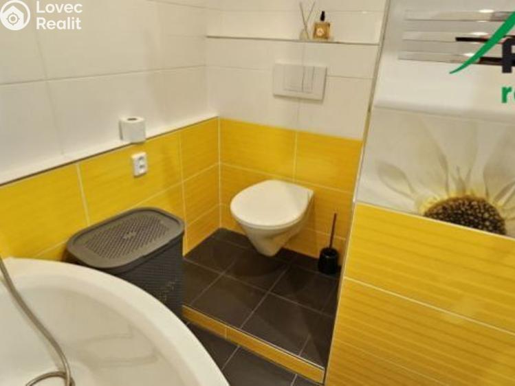 Pronájem bytu 2+1 Tachov, Stadtrodská č. 8