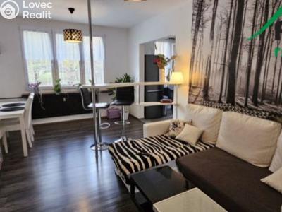 Pronájem bytu 2+1 Tachov, Stadtrodská č. 4