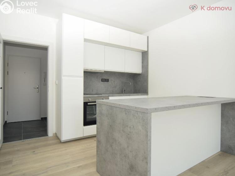 Pronájem bytu 1+KK Brno, Francouzská č. 2