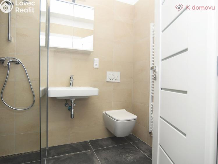 Pronájem bytu 1+KK Brno, Francouzská č. 7