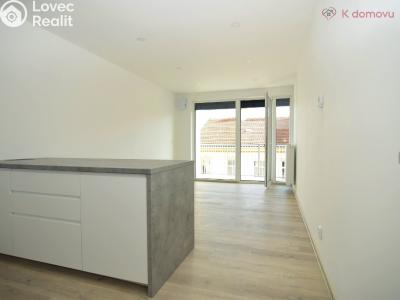 Оренда квартири 1+KK Brno, Francouzská č. 1