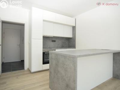 Оренда квартири 1+KK Brno, Francouzská č. 2