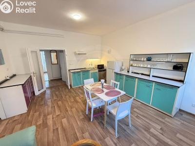 Pronájem bytu 3+KK České Budějovice, Jírovcova č. 3