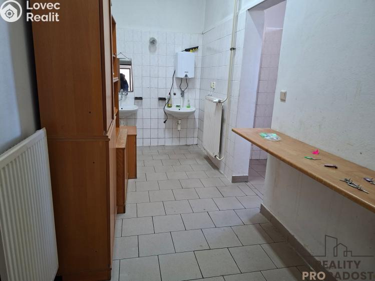 Pronájem výrobní haly Slaný, Netovická č. 7