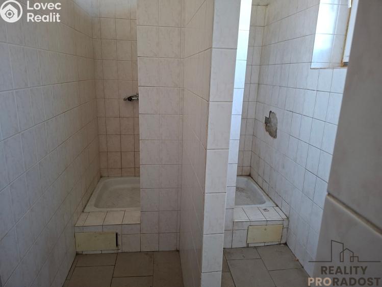 Pronájem výrobní haly Slaný, Netovická č. 9