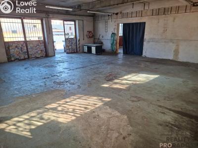 Pronájem výrobní haly Slaný, Netovická č. 2