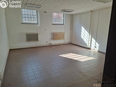 Pronájem výrobní haly Slaný, Netovická č. 6